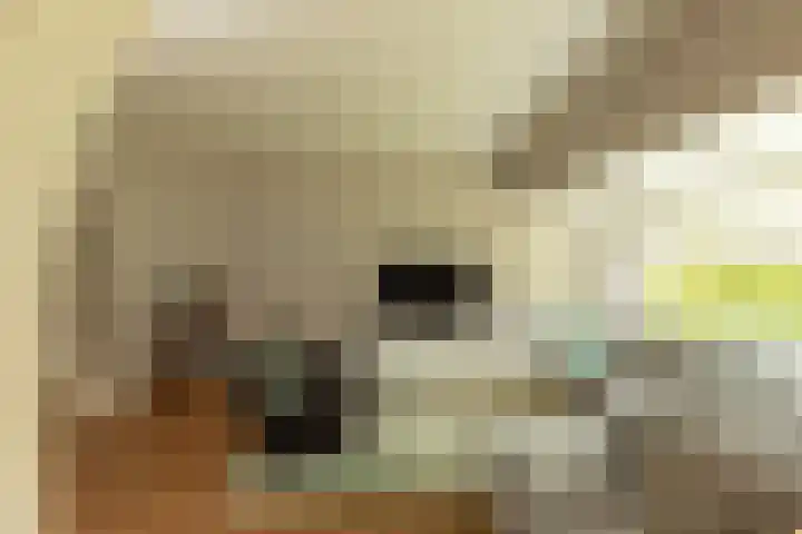 Frederik van Eedenlaan 26 Hilversum thumbnail 4
