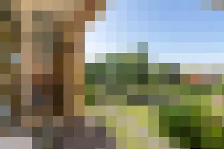 Frederik van Eedenlaan 45 Hilversum thumbnail 16