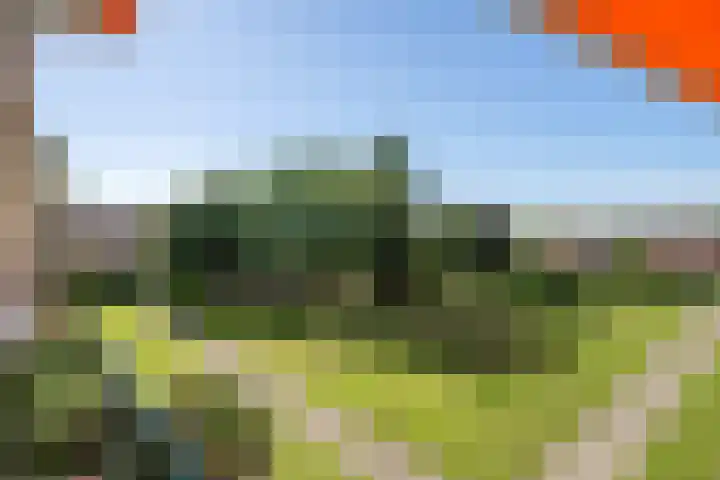 Frederik van Eedenlaan 45 Hilversum thumbnail 17