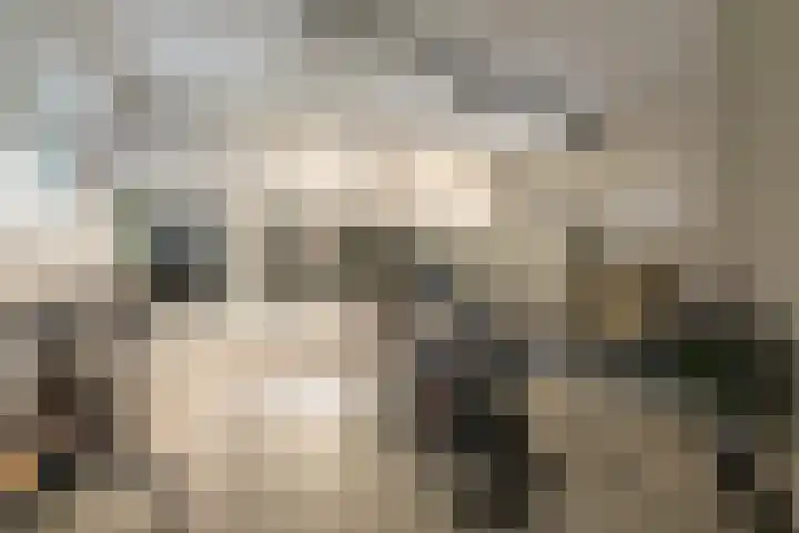 Frederik van Eedenlaan 45 Hilversum thumbnail 18