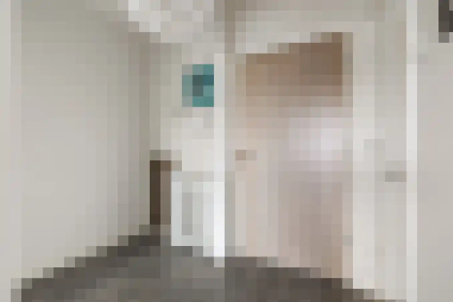 Frederik van Eedenlaan 47 Hilversum thumbnail 21