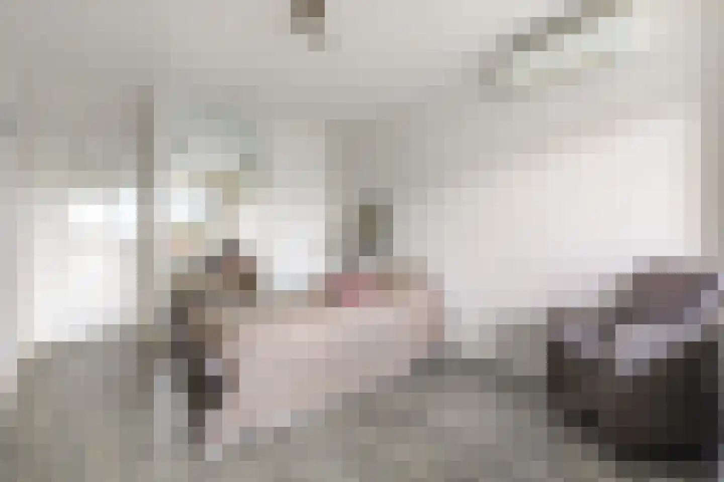 Frederik van Eedenlaan 47 Hilversum thumbnail 24