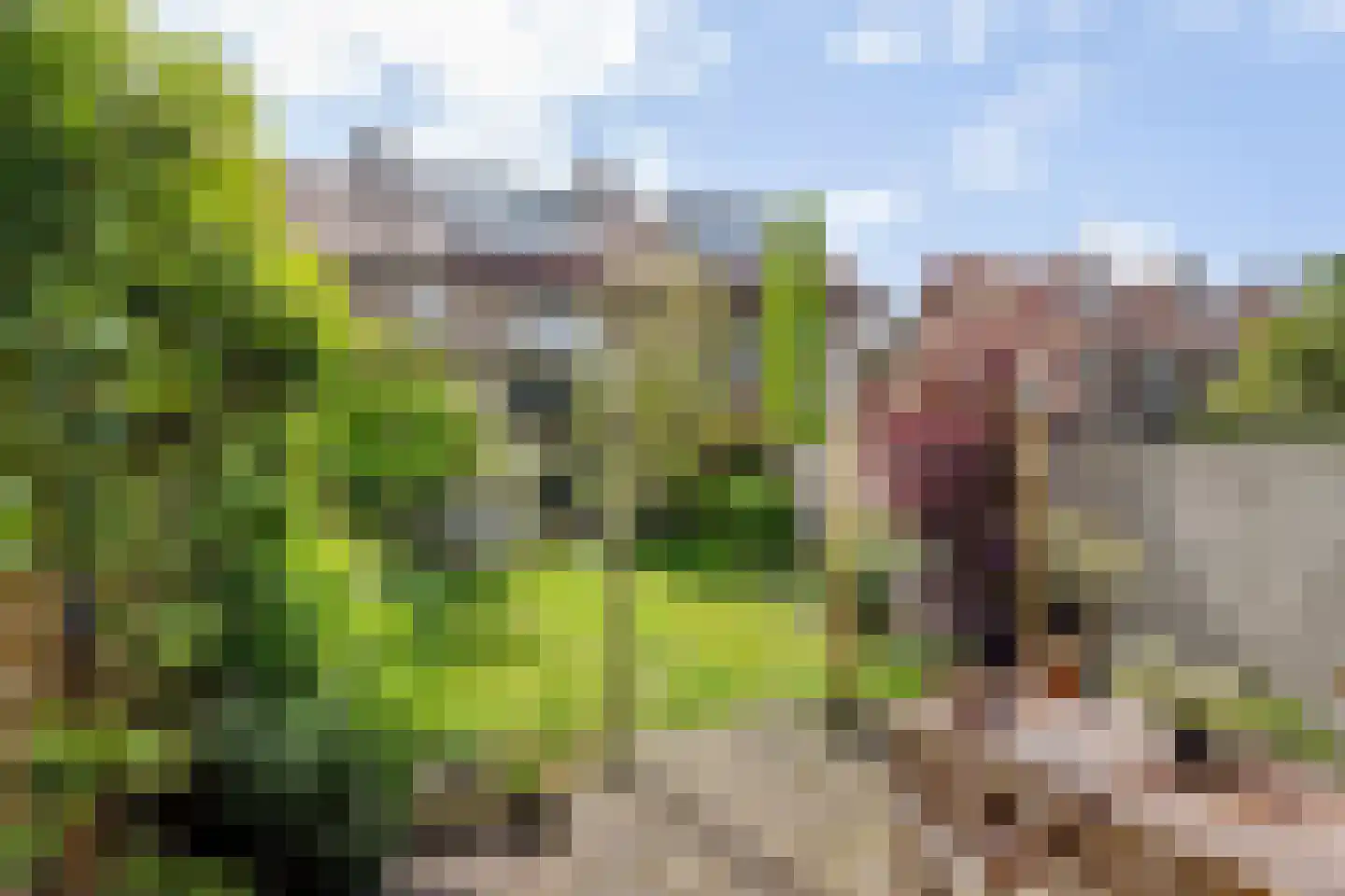 Frederik van Eedenlaan 50 Hilversum