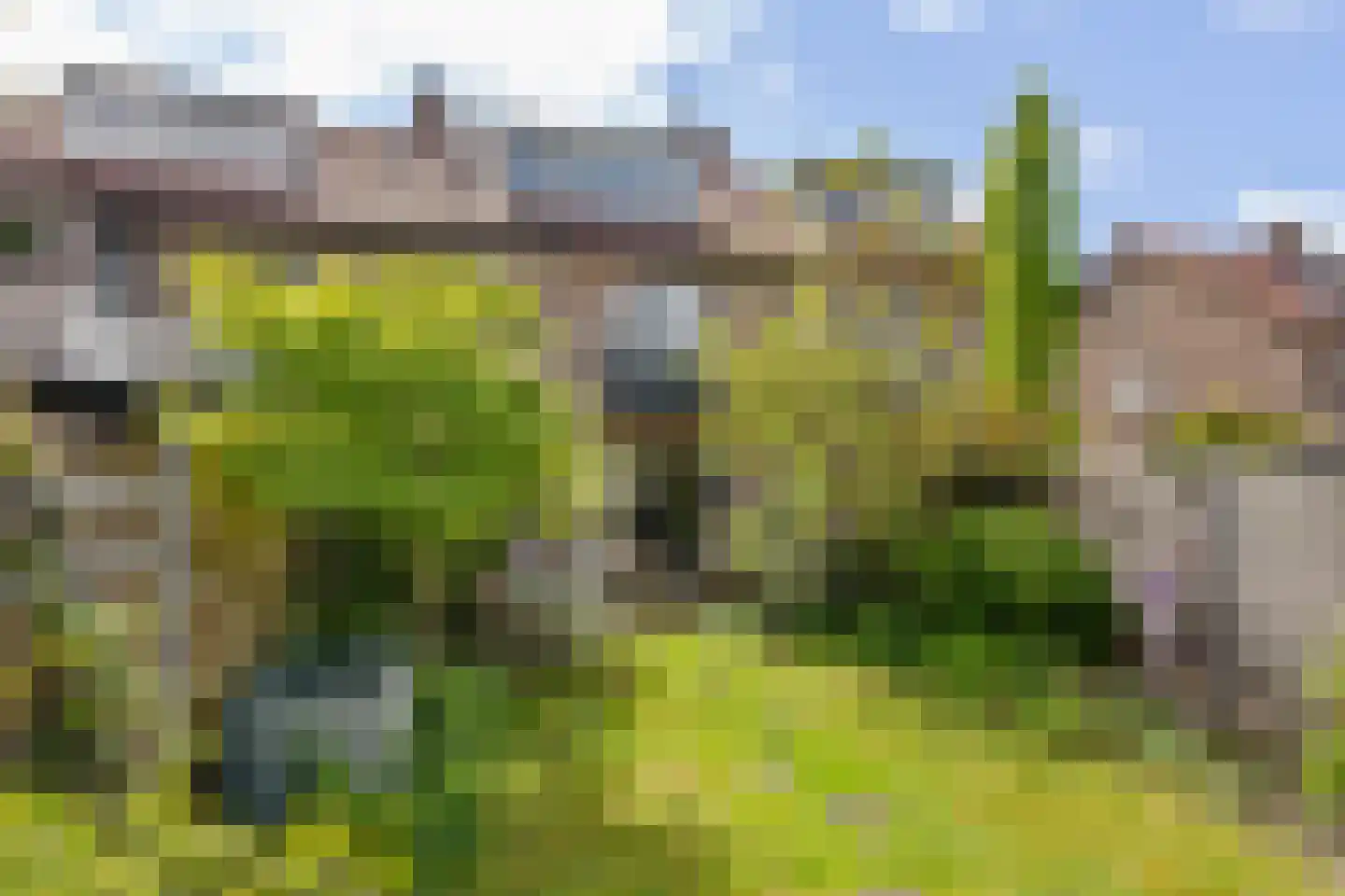 Frederik van Eedenlaan 50 Hilversum thumbnail 34
