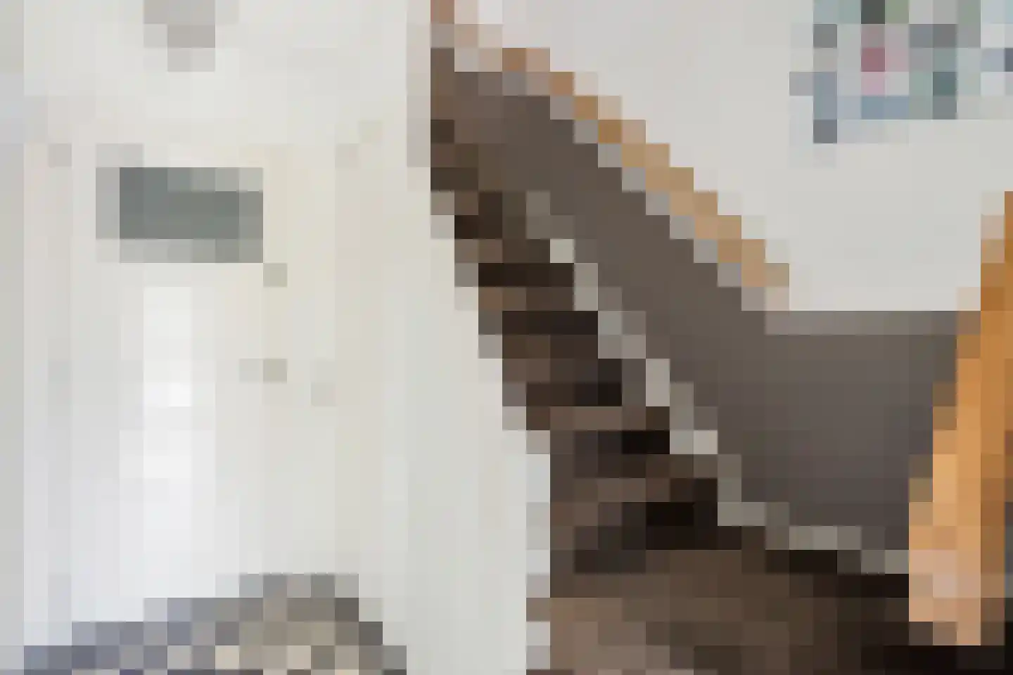 Frederik van Eedenlaan 50 Hilversum thumbnail 5