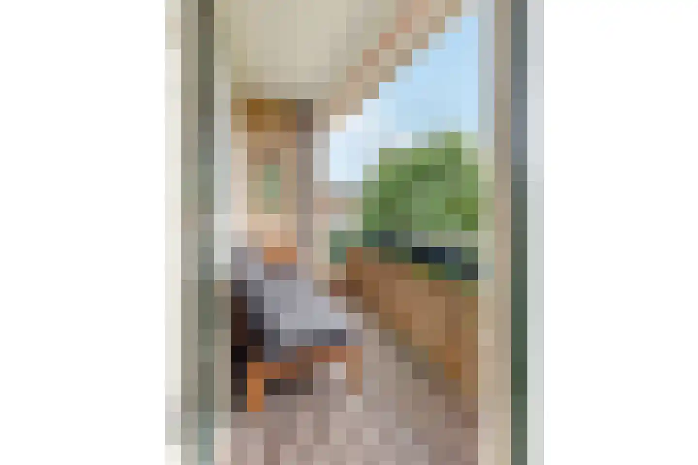 Frederik van Eedenlaan 51 Hilversum thumbnail 4