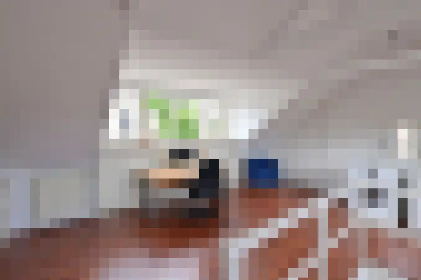 Frederik van Eedenlaan 52 Hilversum thumbnail 18