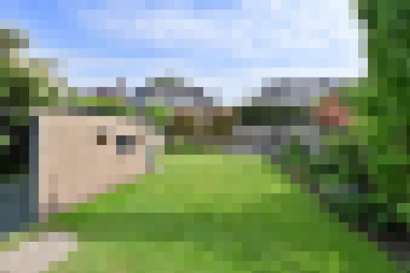 Frederik van Eedenlaan 52 Hilversum thumbnail 20