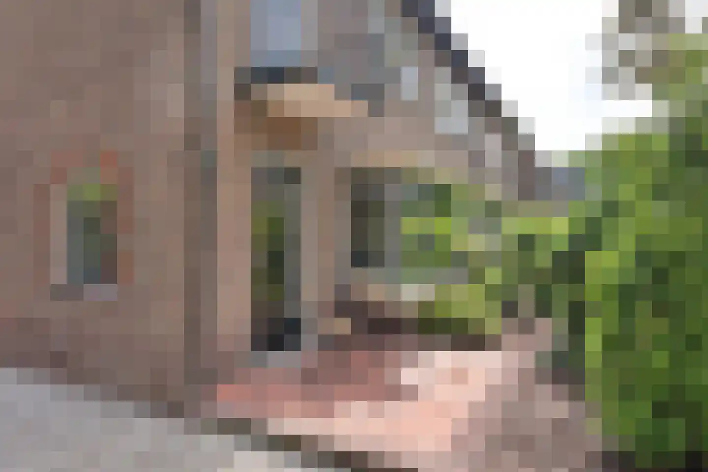 Frederik van Eedenlaan 52 Hilversum thumbnail 22