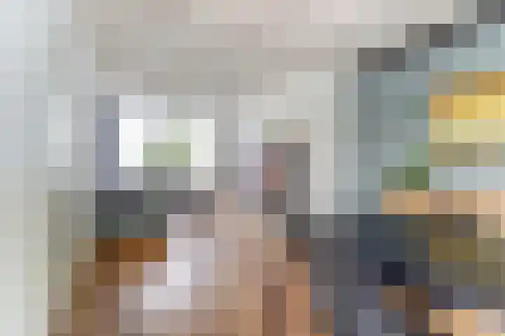Frederik van Eedenlaan 6 Bladel thumbnail 10