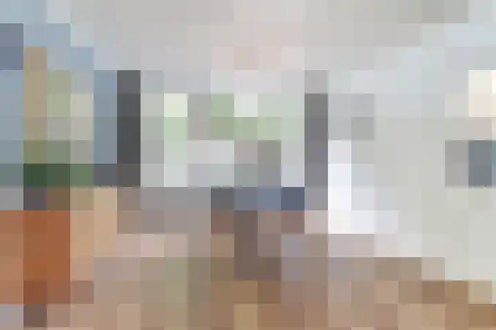 Frederik van Eedenlaan 6 Bladel thumbnail 11