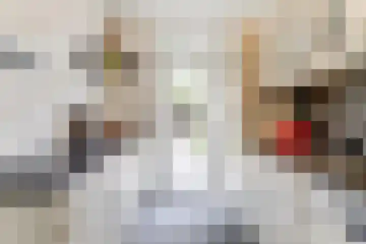 Frederik van Eedenlaan 6 Bladel thumbnail 14