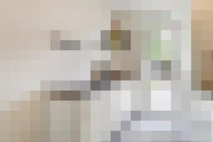 Frederik van Eedenlaan 6 Bladel thumbnail 15