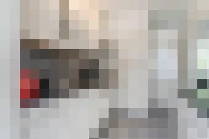 Frederik van Eedenlaan 6 Bladel thumbnail 16