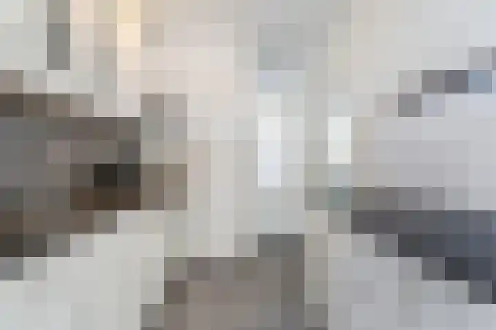 Frederik van Eedenlaan 6 Bladel thumbnail 17