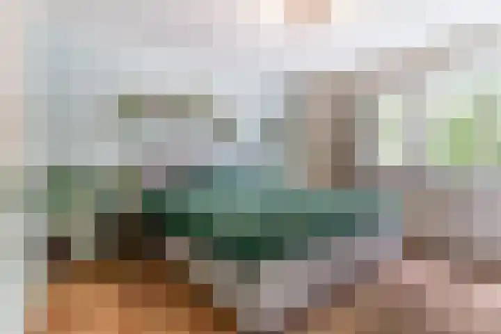 Frederik van Eedenlaan 6 Bladel thumbnail 19