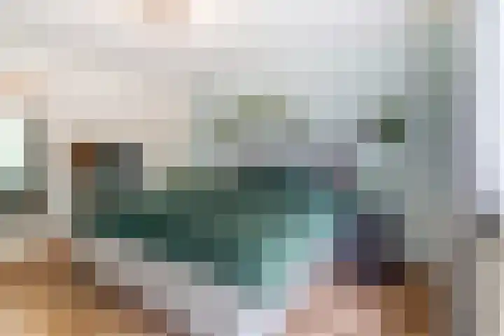Frederik van Eedenlaan 6 Bladel thumbnail 20