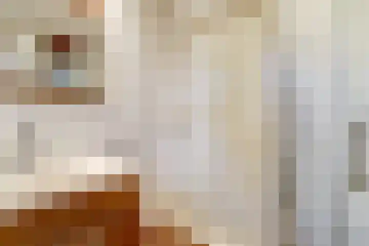 Frederik van Eedenlaan 6 Bladel thumbnail 27