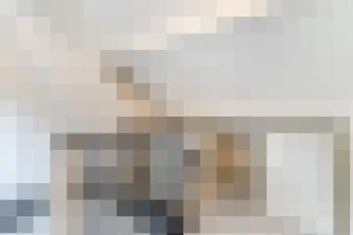 Frederik van Eedenlaan 6 Bladel thumbnail 28