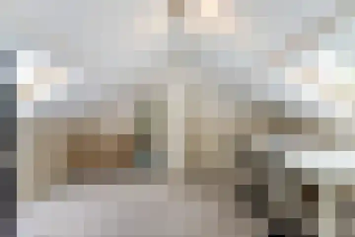 Frederik van Eedenlaan 6 Bladel thumbnail 29