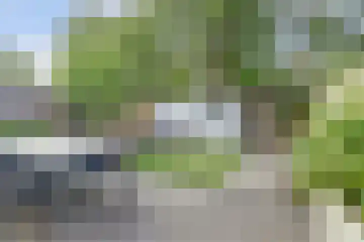 Frederik van Eedenlaan 6 Bladel thumbnail 31