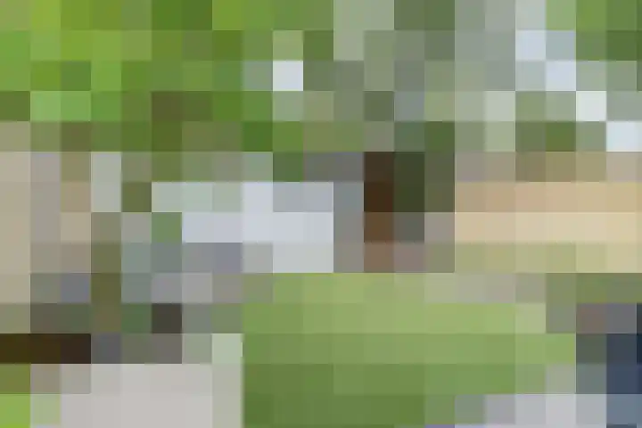 Frederik van Eedenlaan 6 Bladel thumbnail 33