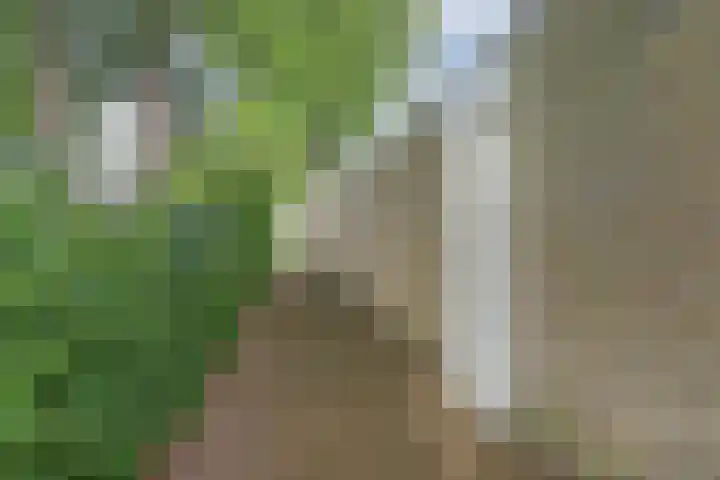 Frederik van Eedenlaan 6 Bladel thumbnail 35