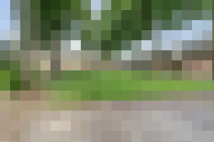 Frederik van Eedenlaan 6 Bladel thumbnail 36