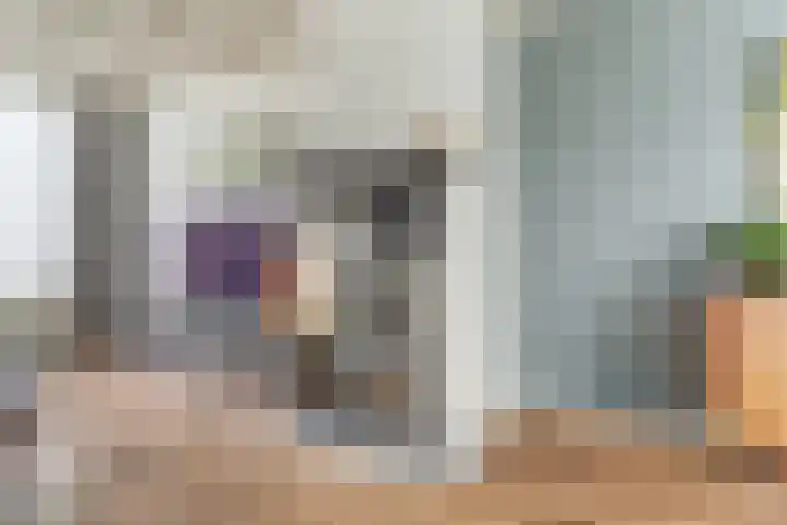 Frederik van Eedenlaan 6 Bladel thumbnail 7