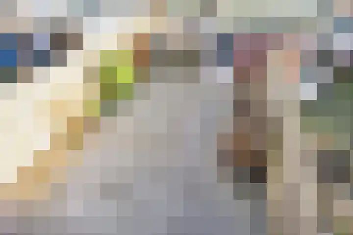 Frederik van Eedenlaan 7 Hillegom thumbnail 19