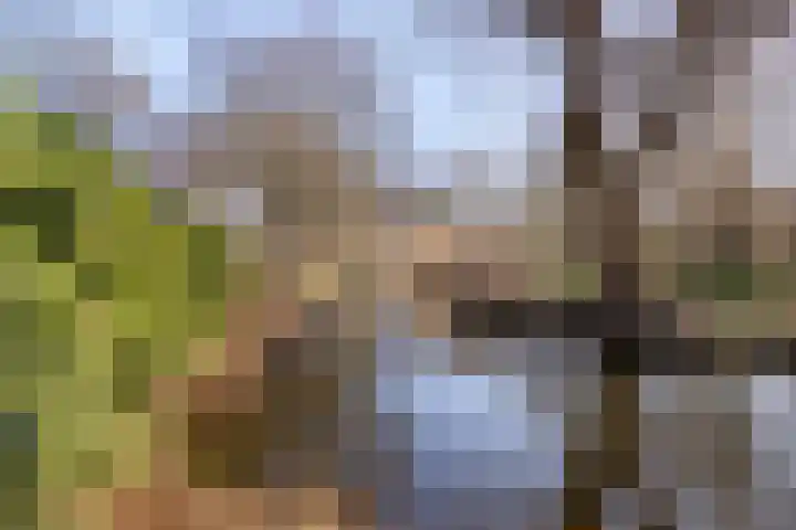 Frederik van Eedenlaan 7 Hillegom thumbnail 22