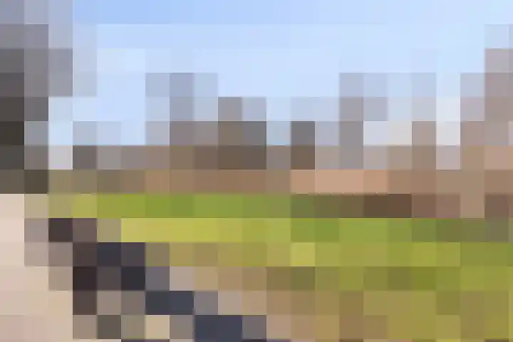 Frederik van Eedenlaan 7 Hillegom thumbnail 25