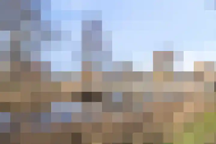 Frederik van Eedenlaan 7 Hillegom thumbnail 26