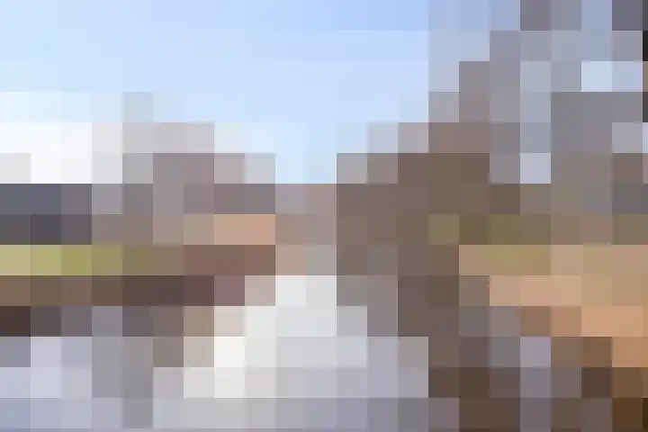 Frederik van Eedenlaan 7 Hillegom thumbnail 27