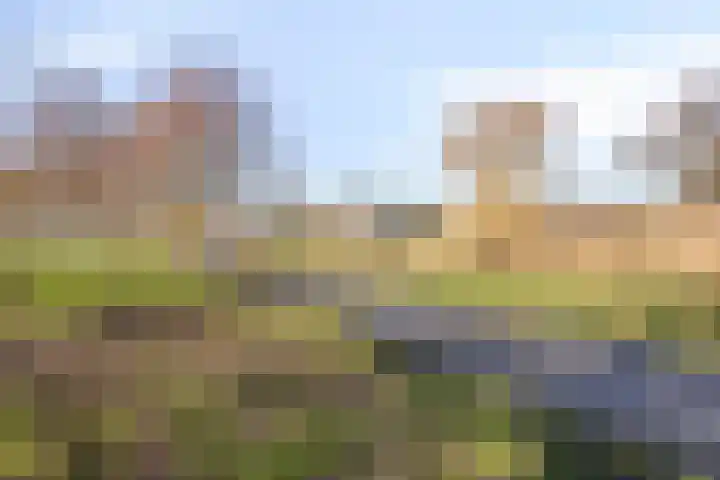 Frederik van Eedenlaan 7 Hillegom thumbnail 28