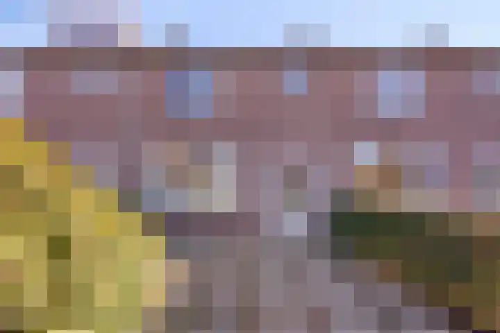 Frederik van Eedenlaan 7 Hillegom thumbnail 4