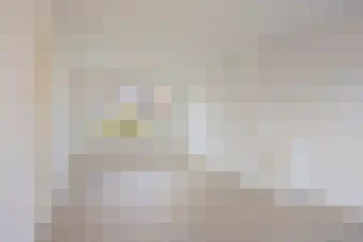 Frederik van Eedenlaan 7 Hillegom thumbnail 6