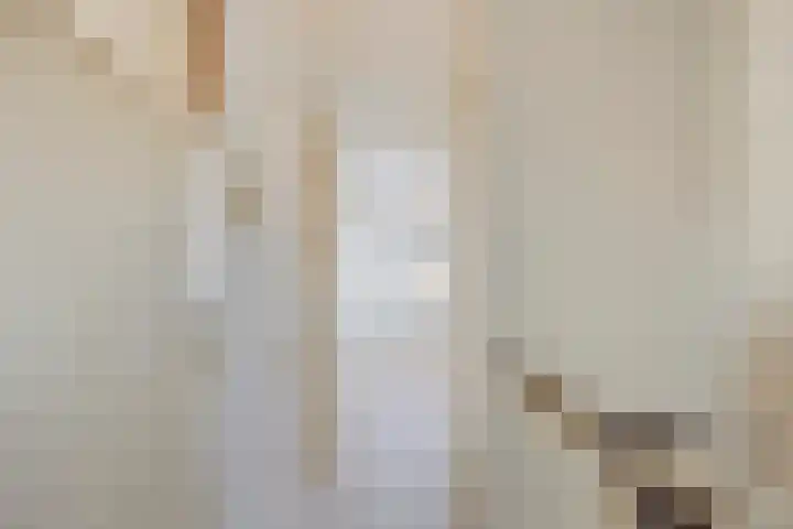Frederik van Eedenlaan 7 Hillegom thumbnail 9