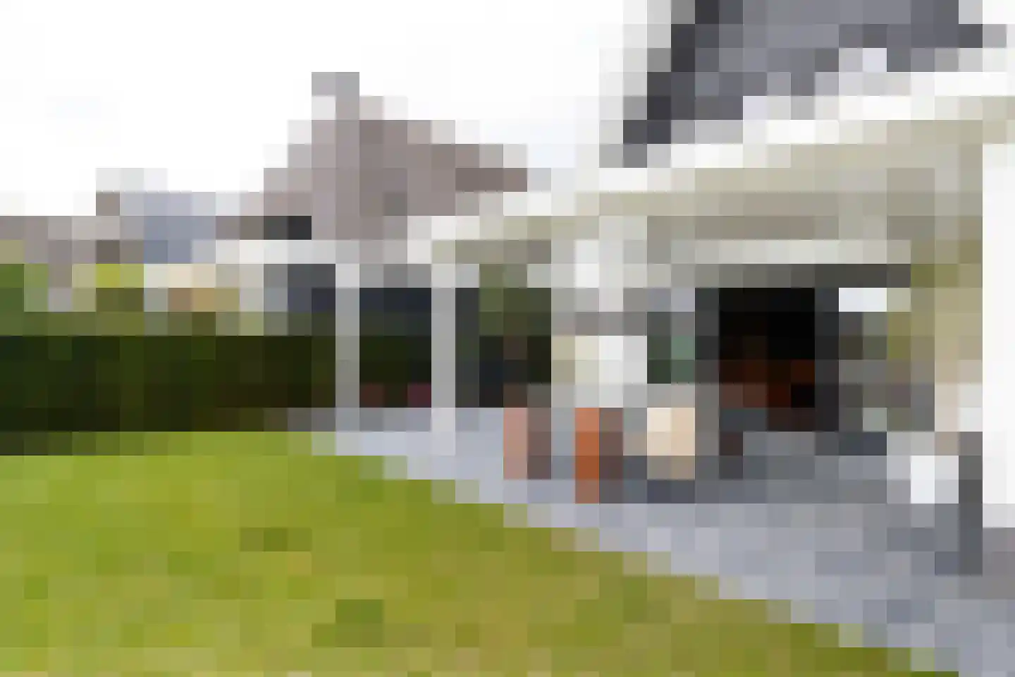 Frederik van Eedenlaan 8 Blaricum thumbnail 24