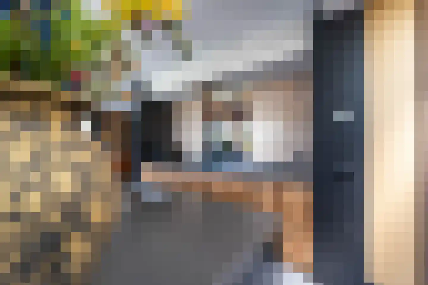 Frederik van Eedenlaan 8 Blaricum thumbnail 9