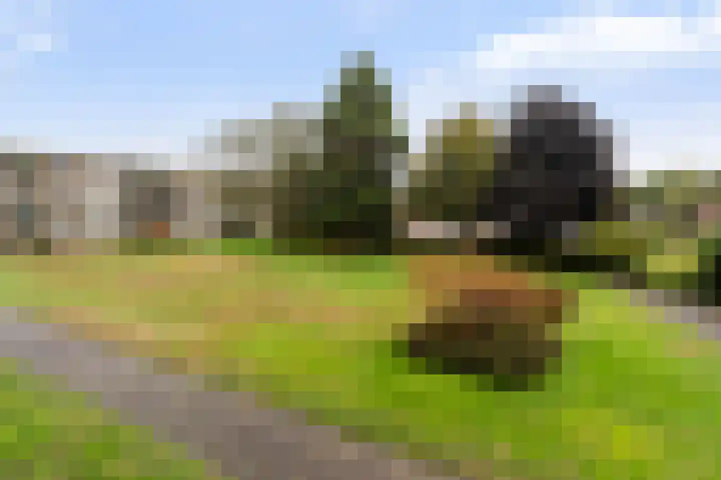 Frederik van Eedenlaan 89 Hilversum thumbnail 12