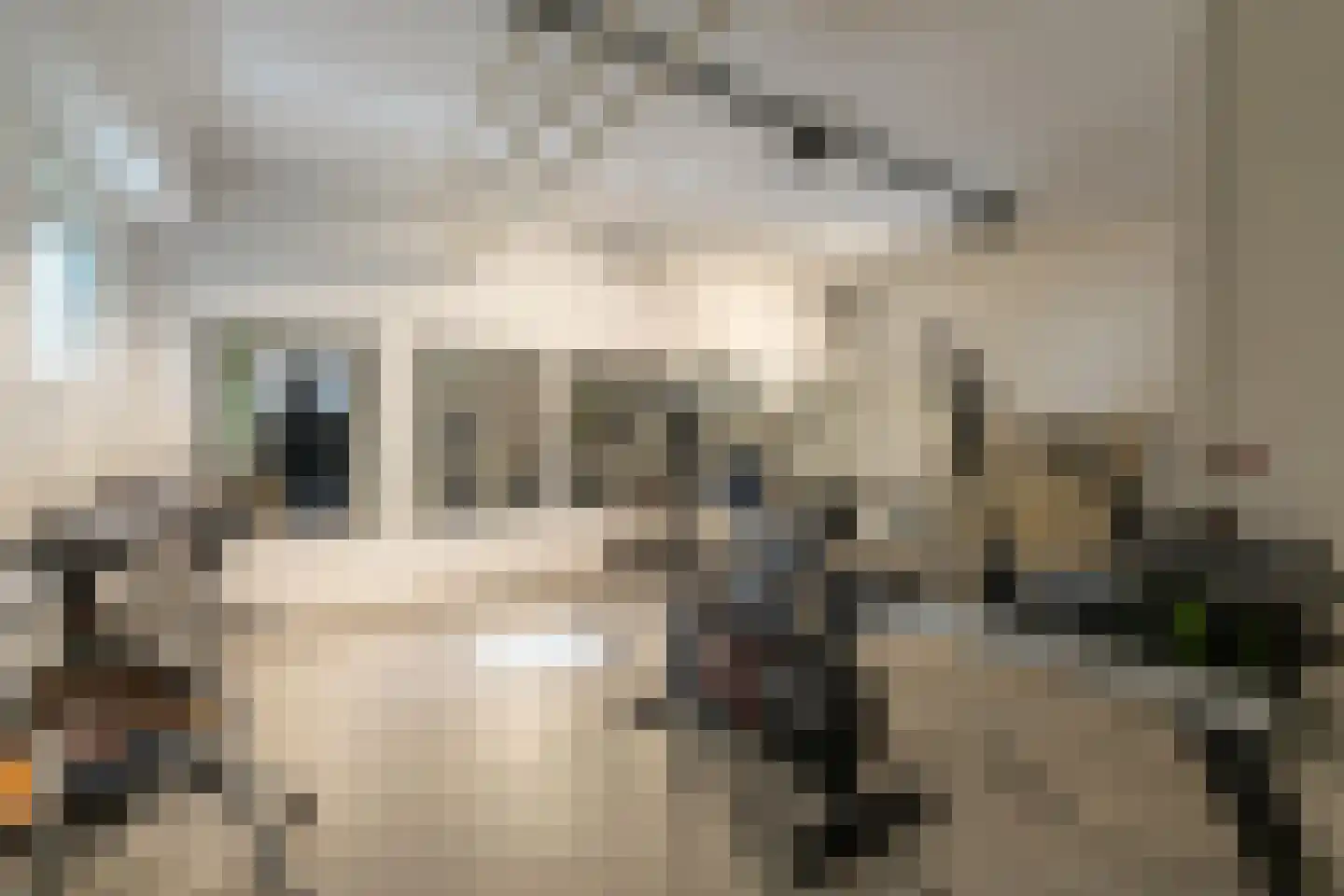 Frederik van Eedenlaan 89 Hilversum thumbnail 18