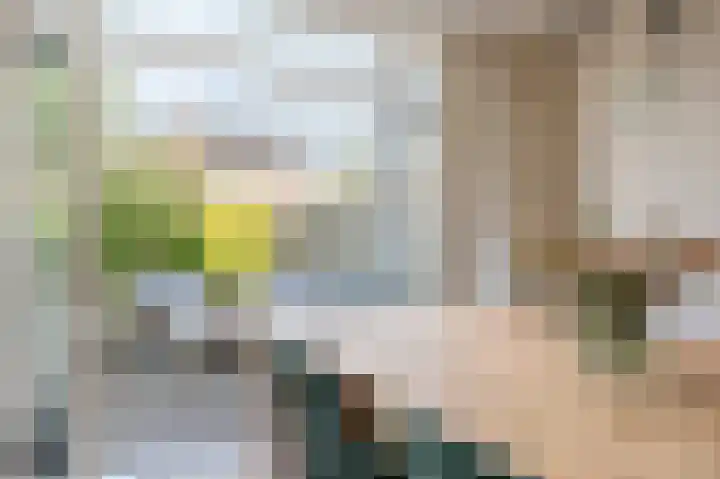 Frederik van Eedenpad 5 Oegstgeest thumbnail 11