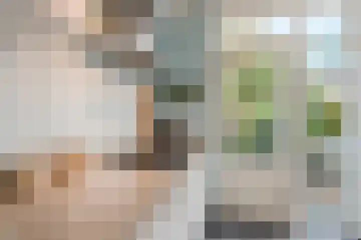Frederik van Eedenpad 5 Oegstgeest thumbnail 16