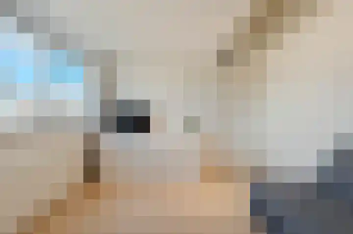Frederik van Eedenpad 5 Oegstgeest thumbnail 33