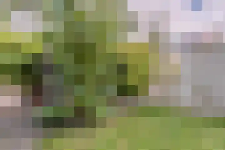 Frederik van Eedenpad 5 Oegstgeest thumbnail 39