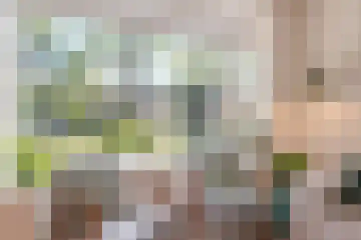 Frederik van Eedenpad 5 Oegstgeest thumbnail 9