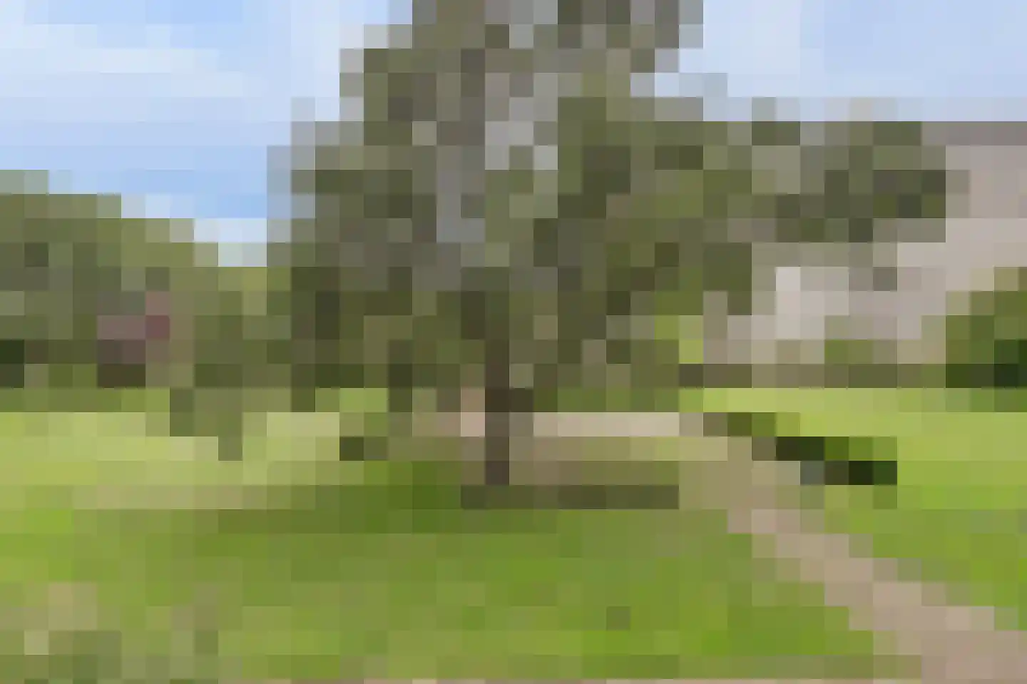 Frederik van Eedenplaats 13 Capelle aan den IJssel thumbnail 34