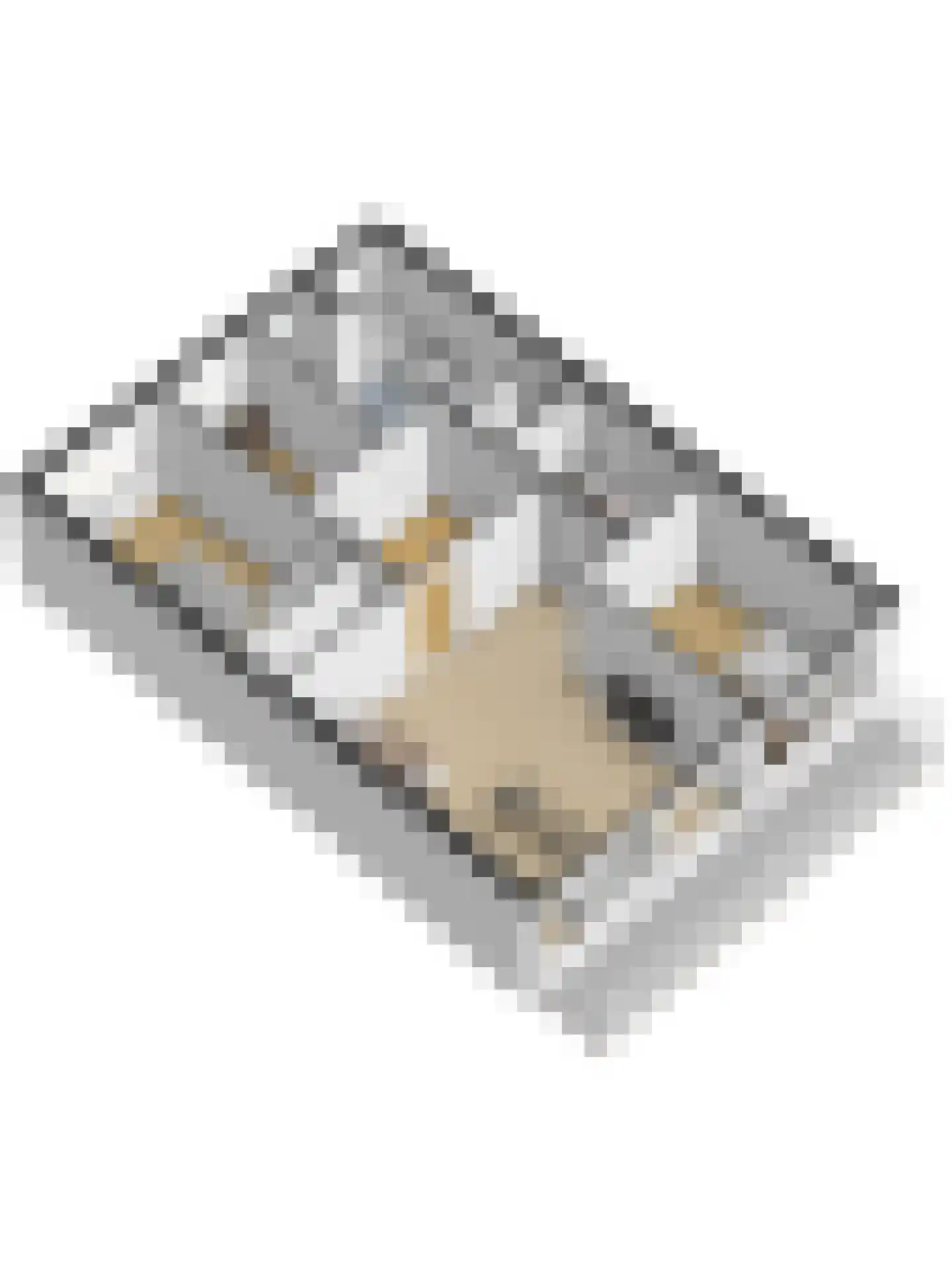 Frederik van Eedenplaats 13 Capelle aan den IJssel thumbnail 36