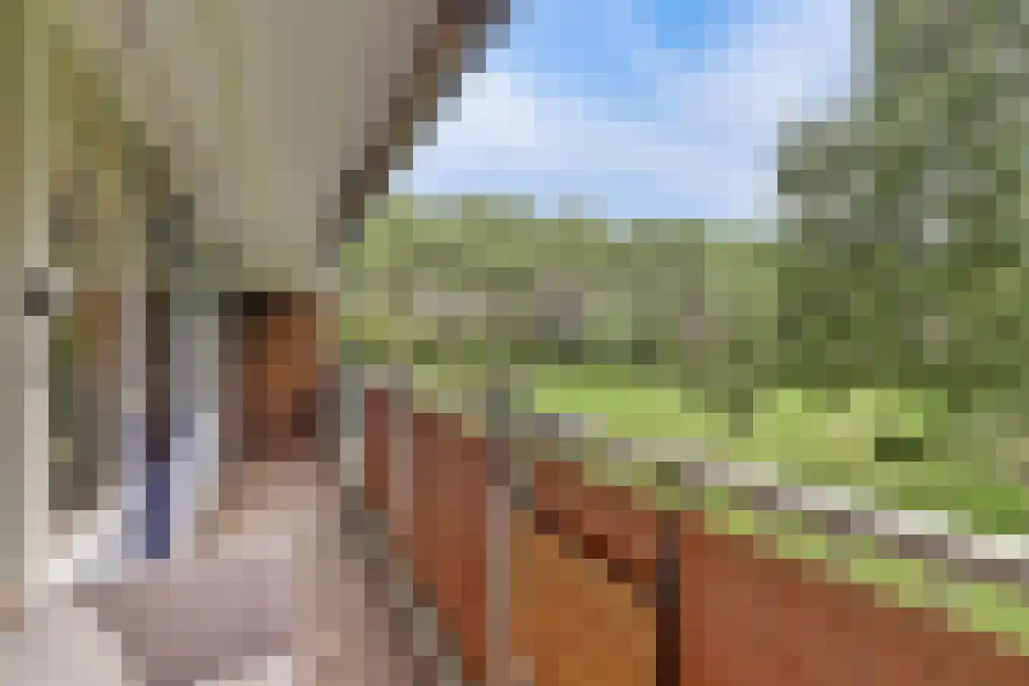 Frederik van Eedenplaats 13 Capelle aan den IJssel thumbnail 5